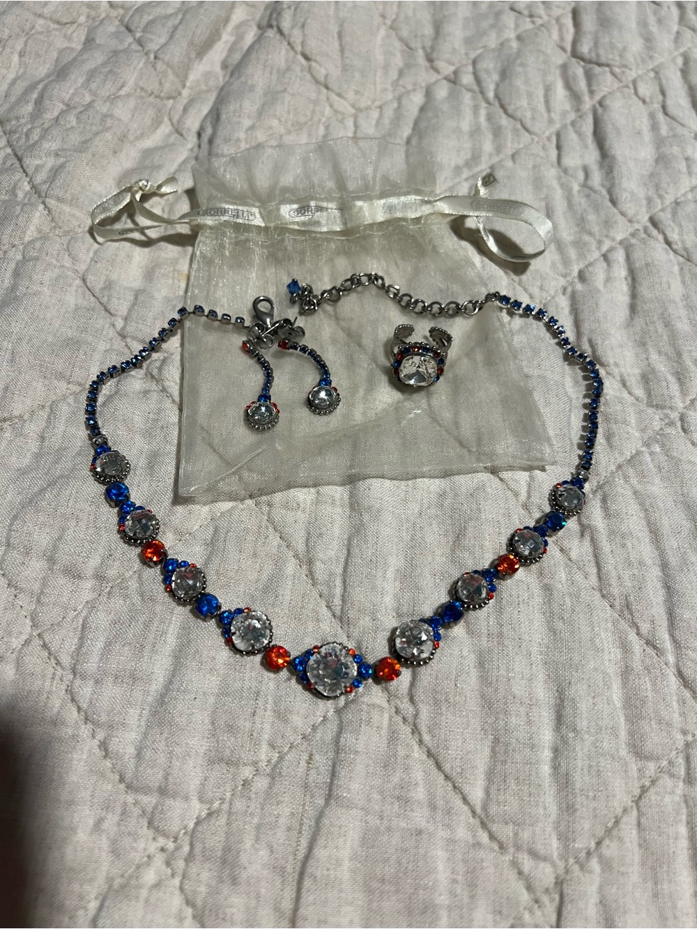 Sorrelli Florida Gators set with necklace, earrings and ring
